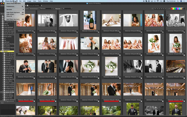 Fundy Designer — Revamped All-in-One Suite for Wedding and