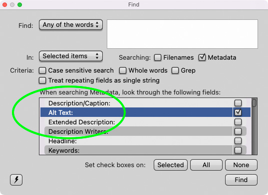 The Find dialog can be restricted to specific metadata fields like Alt Text