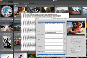Photo Mechanic and a spreadsheet of alt text applied to the metadata